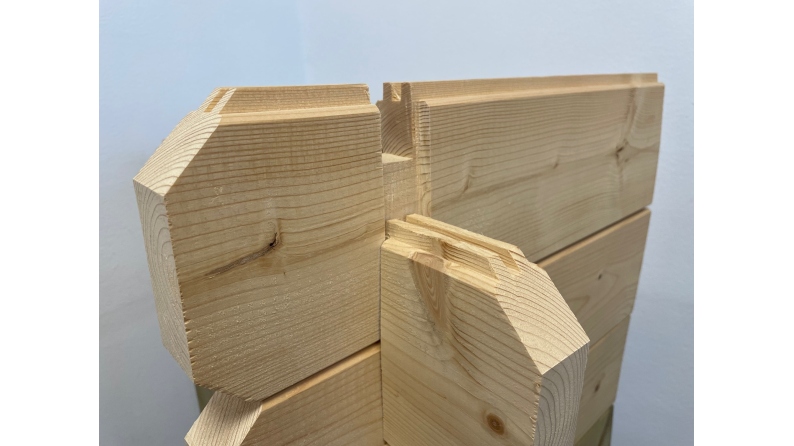 Terrasse en bois avec balustrade pour abri en bois - 12m2 - 6m x 2m - couleur: naturel