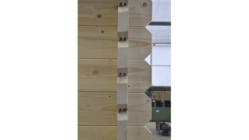 Abri de jardin en bois - 6x6 m + terrasse avec balustrade et avant-toit en bois - 48 m2