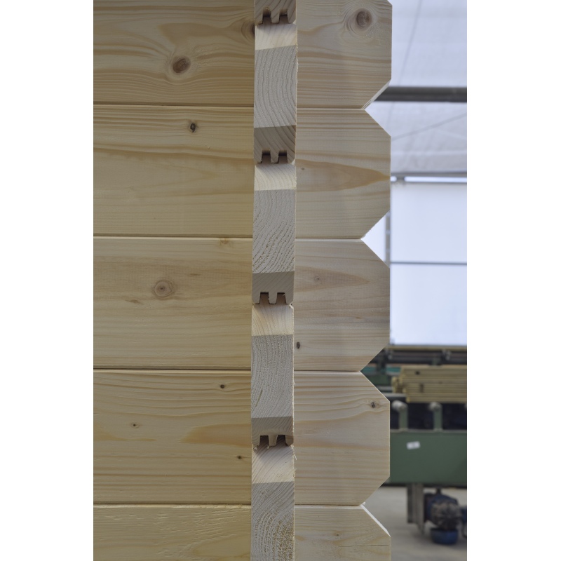 Abri de jardin en bois - 36m2 - 6x6m - Ep. 40mm - Couleur: 