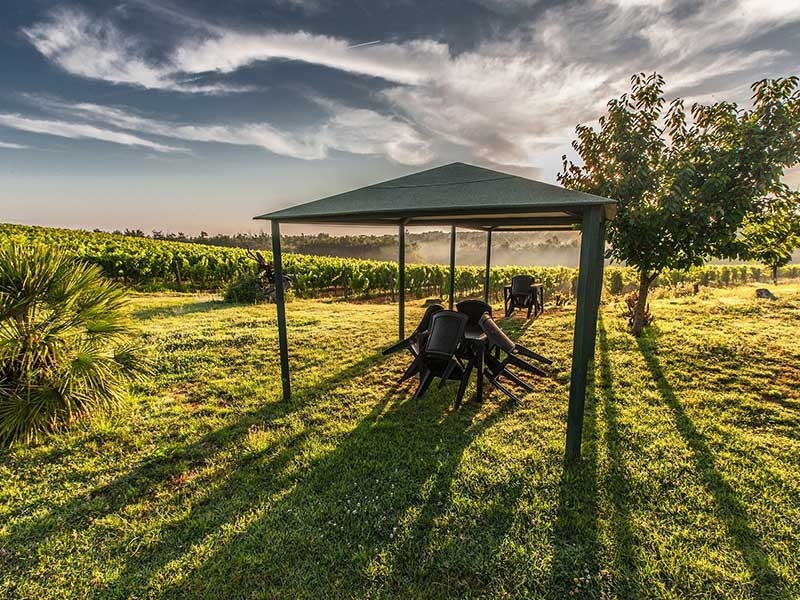 Abri en bois comme espace de rangement pour les outils de jardin en saison et en dehors