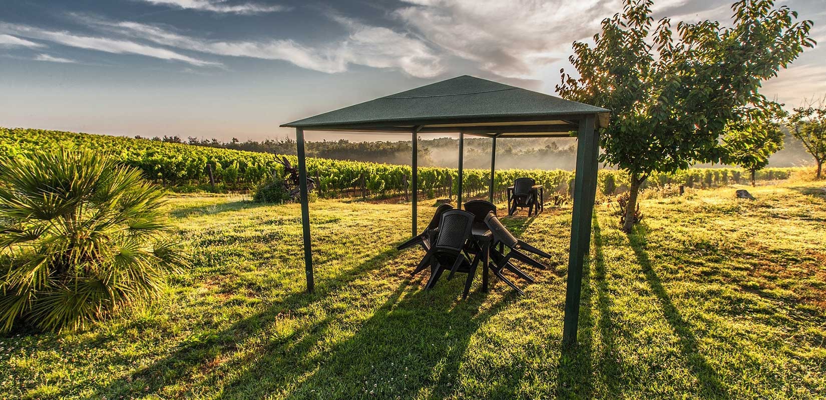 Abri en bois comme espace de rangement pour les outils de jardin en saison et en dehors